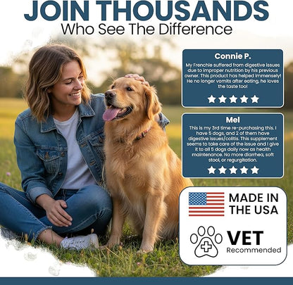 Probiotics for Dogs with Digestive Enzymes - 120 Soft Chews - Supports Healthy Digestive Tract, Helps Nutrient Absorption and Food Digestion - Probiotic & Prebiotic Dog Fiber and Gut Health Supplement