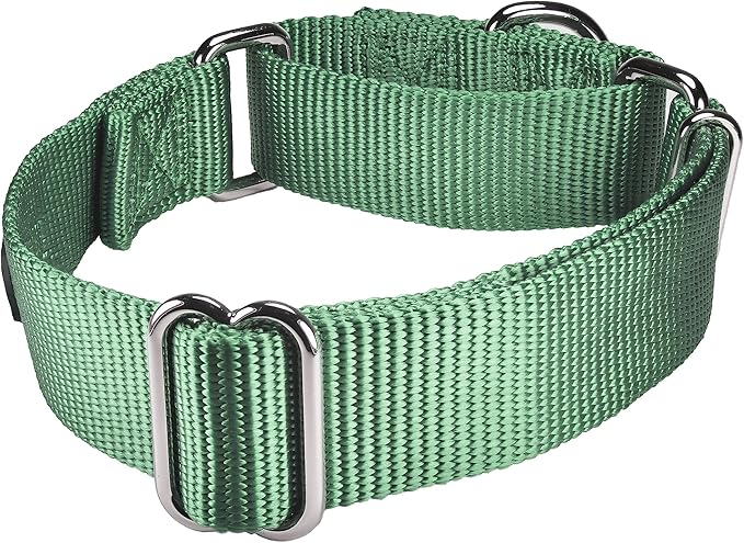 Mikivery Martingale Dog Collar Nylon Adjustable and Safety Training Metal Buckle Dogs Collars for Small Medium and Large Breed(Emerald,L)