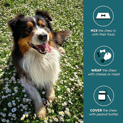 PetHeal Kidney Guard Chews for Dogs - Vet-Reviewed - Supports Renal Health & Energy with Astragalus, Cordyceps, Dong Quai & Rehmannia | Promotes Kidney Function & Detox | 30 Soft Chews, Pork Flavor
