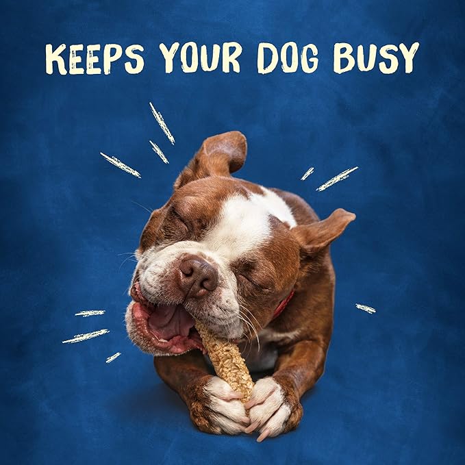 Purina Busy Rawhide Small/Medium Breed Dog Bones, Chewnola With Oats & Brown Rice - 2 ct. Pouch