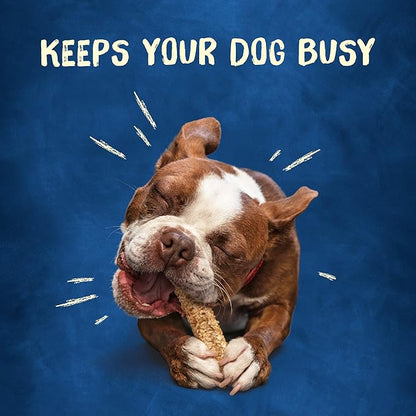 Purina Busy Rawhide Small/Medium Breed Dog Bones, Chewnola With Oats & Brown Rice - 2 ct. Pouch