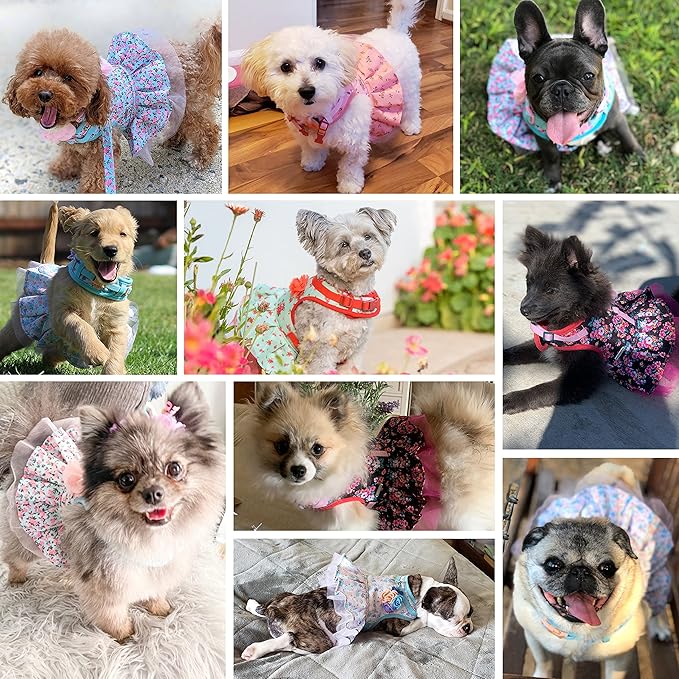 Blueberry Pet Soft & Comfy Floral No Pull Mesh Dog Harness, X-Small, Rose Baby Pink, Dress Harness for Dogs Girl, Small Dog Vest Harness, Fashionable for Puppy Owners