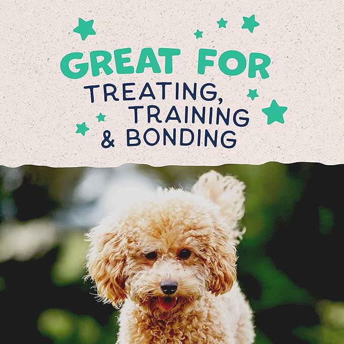 Natural Balance Limited Ingredient Mini-Rewards Chicken Grain-Free, Training Treats for Dogs | 5.3-oz. Canister (Pack of 2)