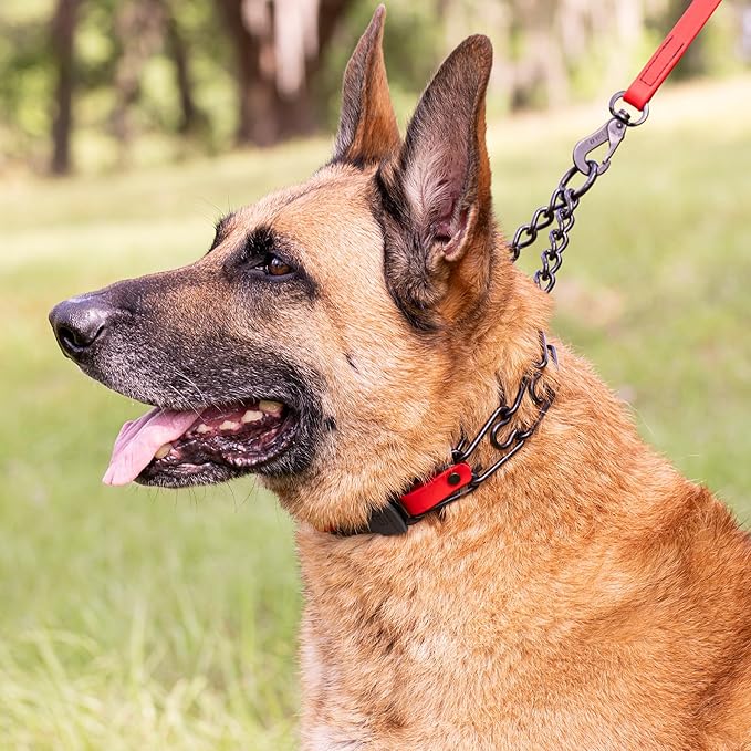 Herm Sprenger Black Stainless Steel Dog Collar with Quick Release ClicLock Buckle O-Ring Biothane Insert Training Collar Made in Germany (Cherry Red, 25in x 4.0mm(Neck Size up to21-22in))