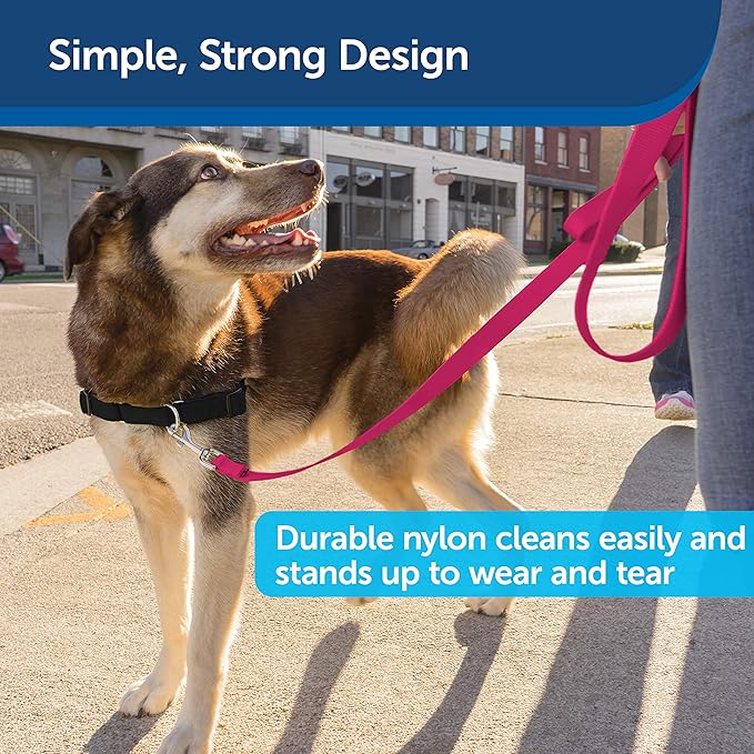 PetSafe Nylon Leash - Helps Maintain Secure Connection on Walks - Durable Pet Leash with Easy Clip - 3/4 in. x 6 ft. - Raspberry