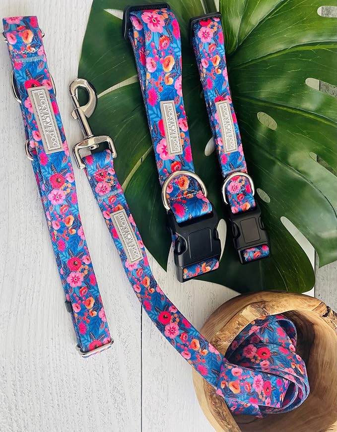 Lucky Love Dog Martingale Dog Collar - Adjustable, No-Slip, Durable, & Soft Webbing Collar for Male and Female Dogs Ideal for Training & Walking - Zuzu, Medium