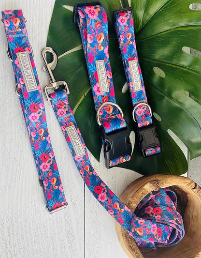Lucky Love Dog Martingale Dog Collar - Adjustable, No-Slip, Durable, & Soft Webbing Collar for Male and Female Dogs Ideal for Training & Walking - Zuzu, Medium