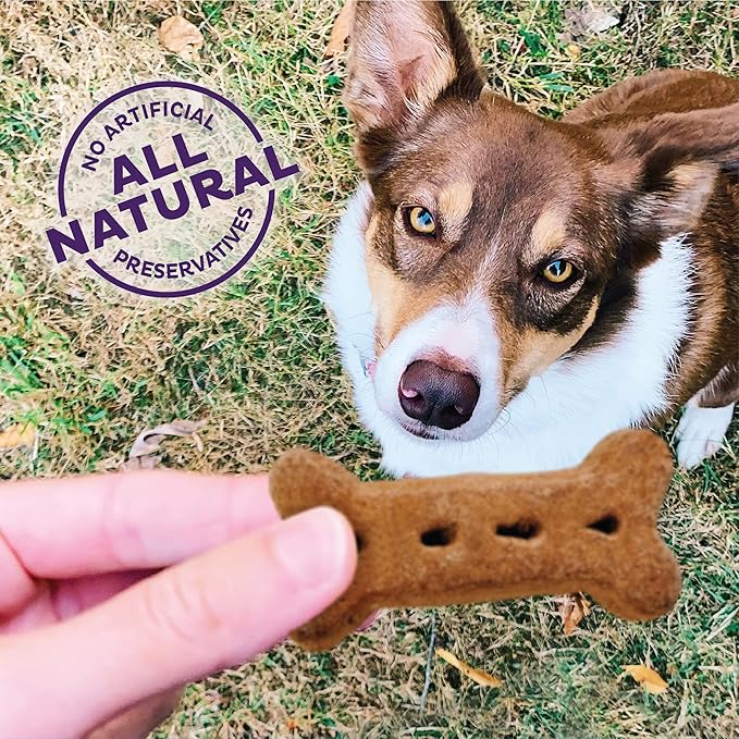 Old Mother Hubbard Wellness Original Mix Dog Biscuits, Natural, Training Treats, Four Flavors, Large Size, (3.5 Pound Bag)