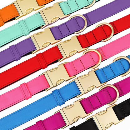 Didog Colorful Soft Padded Nylon Dog Collar & 5FT Dog Leash Set for Medium Dogs