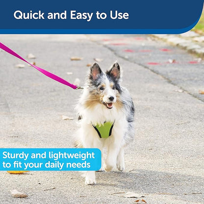 PetSafe Nylon Leash - Helps Maintain Secure Connection on Walks - Durable Pet Leash with Easy Clip - 3/4 in. x 6 ft. - Raspberry