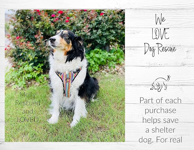 Lucky Love Dog No Pull Dog Harness, Adjustable and Easy to Walk, Cute Patterned Harness for Large Male & Female Dogs - Ladybird, Large