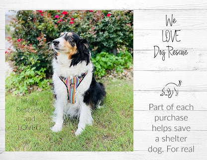 Lucky Love Dog No Pull Dog Harness, Adjustable and Easy to Walk, Cute Patterned Harness for Large Male & Female Dogs - Primrose, Large