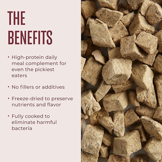 WagWell Freeze-Dried Dog Food Topper, Beef Liver Flavor | Training Treats, Food Topper, Healthy Snack for Dogs | Human Grade, Grain Free, High Protein | Made in USA | 4 oz Bag, 2 Pack