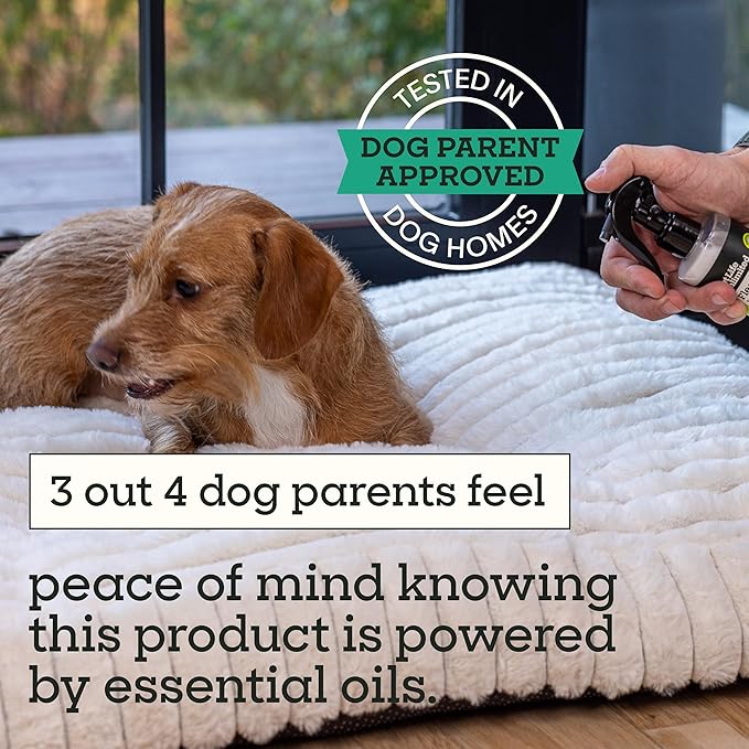 Pet Life Unlimited Flea & Tick Spray for Home, 16 oz, Plant-Based Indoor Prevention and Treatment for Dogs, Kill & Repel Fleas, Ticks & Eggs, Protection for Carpet, Furniture & Bedding