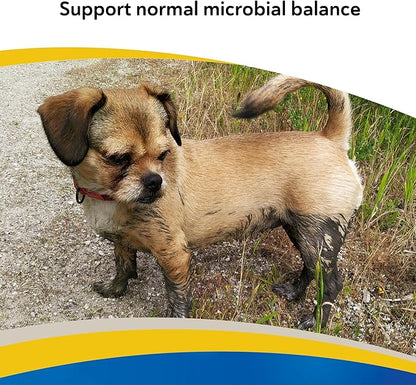 Doc Roy’s GI Synbiotics Probiotic & Prebiotic Granules for Dogs & Cats, Digestive & Immune Health Supplement with Live Cultures, BgMOS & Beta Glucans, Chicken Flavor, 25lb Granules