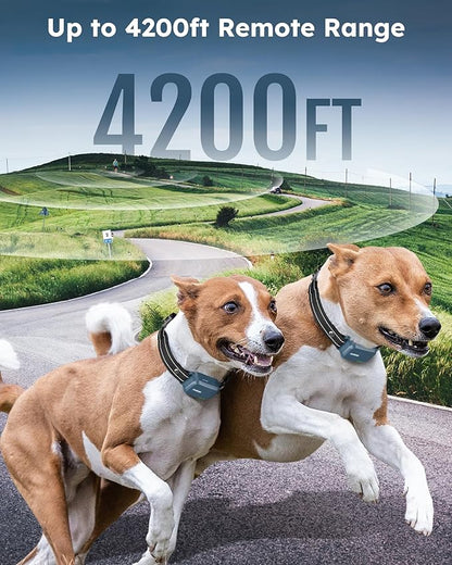 Jugbow Shock Collar for 2 Dogs - 4200FT Dog Training Collar with Remote IPX7 Waterproof Electric Collar with 4 Training Modes, Security Lock E-Collar for Large Medium Small Breeds(Teal Blue)
