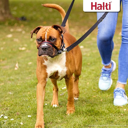 Halti Optifit Headcollar & Halti Training Leash Size Large, Black Combination Pack - Stop Your Dog Pulling on the Leash. Adjustable with Padded Nose Band. Suitable for Large Dogs