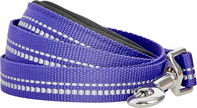 Blueberry Pet 3M Reflective Pastel Color Dog Leash with Soft & Comfortable Handle, 5 ft x 3/4", Violet, Medium, Leashes for Dogs