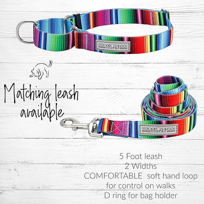 Lucky Love Dog Martingale Dog Collar - Adjustable, No-Slip, Durable, & Soft Webbing Collar for Male and Female Dogs Ideal for Training & Walking - Nacho, Medium