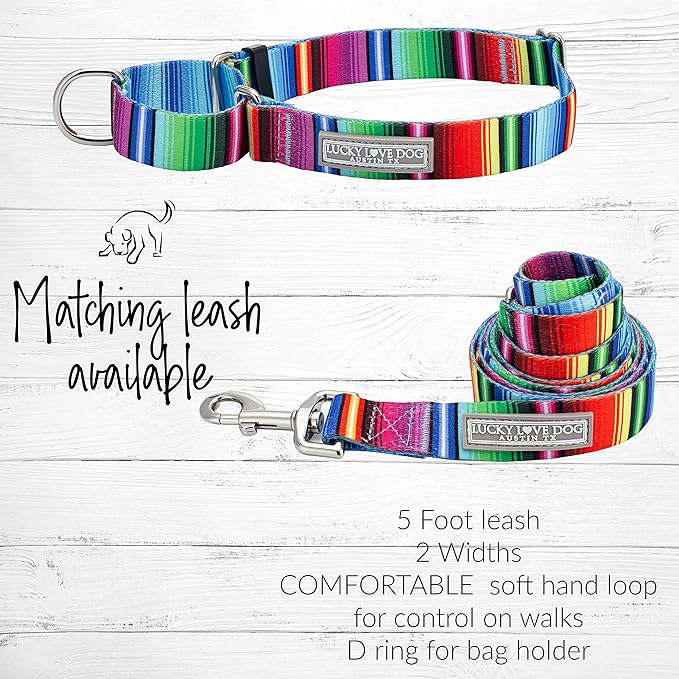 Lucky Love Dog Martingale Dog Collar - Adjustable, No-Slip, Durable, & Soft Webbing Collar for Male and Female Dogs Ideal for Training & Walking - Nacho, Small