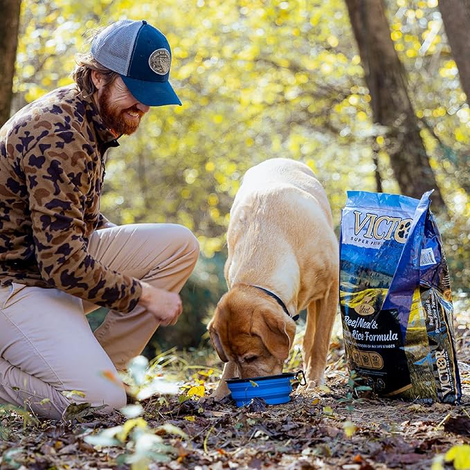 VICTOR Super Premium Dog Food – Select Beef Meal & Brown Rice Formula for Immune and Gut Health – Gluten-Free Beef Meal Dry Dog Food for All Normally Active Dogs of All Life Stages, 15 lbs