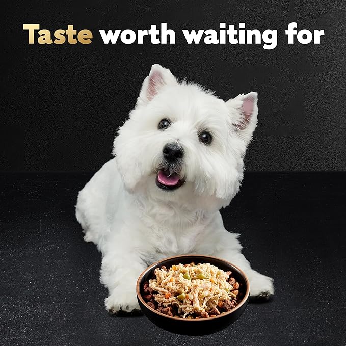 Cesar Wholesome Bowls Adult Wet Dog Food, Chicken, Apple & Sweet Potato Recipe, Wet Food for Dogs, 3 oz. Bowls, 10 Count