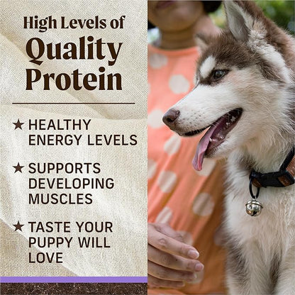 Merrick Premium Grain Free Dry Puppy Food, Wholesome and Natural Kibble with Real Chicken and Sweet Potato - 10.0 lb. Bag