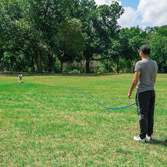 Hi Kiss Dog/Puppy Obedience Recall Training Agility Lead - 15ft 20ft 30ft 50ft 100ft Training Leash - Great for Training, Play, Camping, or Backyard (20 Feet, Green)