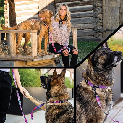Wolfgang Heavy Duty Adjustable Dog Harness, Pull-Tested to Over 800 lbs for Walking & Training, Daydream Print, Medium