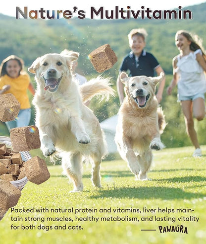 Freeze-Dried Beef Liver Treats for Dogs & Cats, (1.1lb) Value Tub, Single Ingredient, High-Protein, Grain-Free Natural Treat, Perfect for Training Rewards or Meal Topper