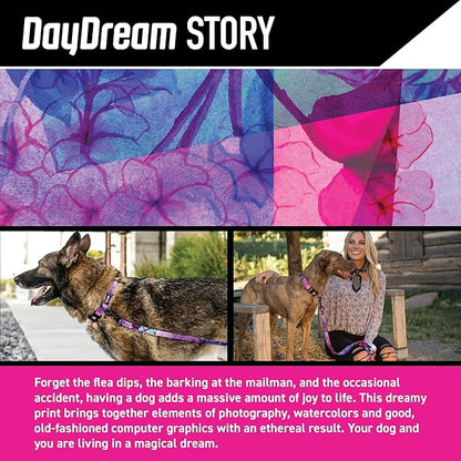 Wolfgang Heavy Duty Dog Leash, Pull-Tested to Over 800 lbs for Walking & Training, Daydream Print, Small