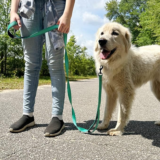 Joytale Dog Leash Heavy Duty for Large Dogs that Pull, Double Handle for Traffic Control, Double-Sided Reflective Leashes for Large Medium Dogs Night Safety, 5FT, Teal