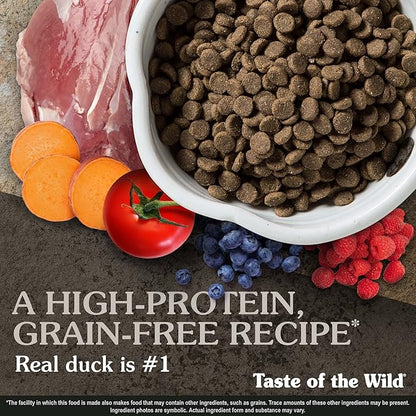 Taste of the Wild Wetlands Grain-Free Dry Dog Food with Roasted Fowl 5lb
