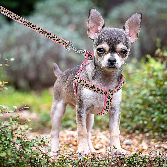Mile High Life Leopard Dog Harness Collar Leash Set, Adjustable No Pull Dog Halter Harness for Small Breed Dogs, Easy Control for Training Walking (Pink, S Chest 11"-18", Neck 10"-14")