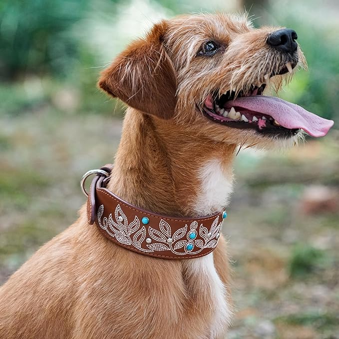 Blueberry Pet Genuine Leather Dog Collar - Western-Inspired Brown Leather Dog Collar for Large Dogs with Floral Embroidery & Turquoise Studs, 18-22 Inch Adjustable & Durable for City Pet Owners