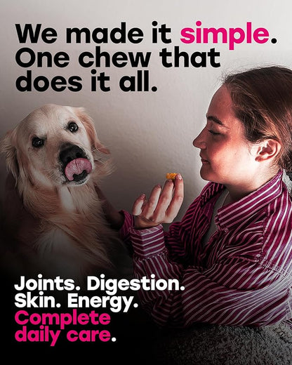 24-in-1 Daily Multivitamin Dog Chews – Joint, Skin & Coat, Digestion & Immunity Support – Glucosamine, Omega-3, Probiotics for Gut Health – PhD-Endorsed, 140 Chews, Beef Flavor