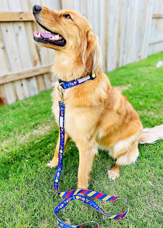 Lucky Love Dog - Easy Click Buckle Dog Collar with Leash Set Combo, Durable & Comfortable for Male & Female Dogs, Pet Collar for Small Dogs, Secure Fit - Mackey Combo, Small