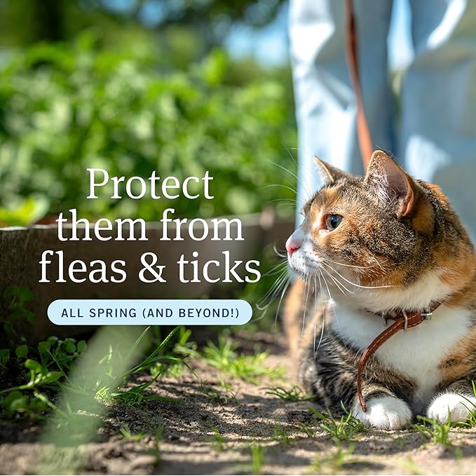 PetArmor Plus Flea and Tick Prevention for Cats over 1.5 lbs, Cat Flea and Tick Treatment, 6 Doses, Waterproof Topical, Fast Acting