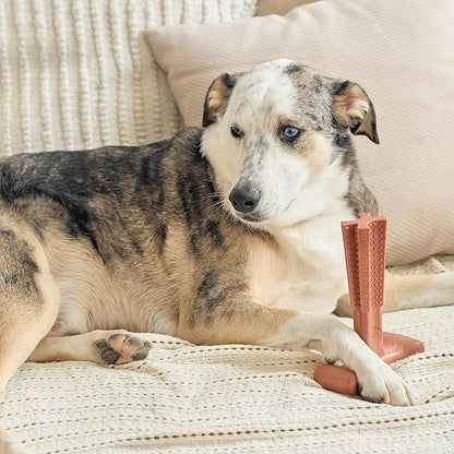 SPOT Bam-Bones Plus T Bone - Bamboo Fiber & Nylon Dog Chew Toy for Moderate to Aggressive Chewers, Non-Splintering, Long-Lasting, 7in Beef Flavor, for Adult Dogs & Teething Puppies Under 90lbs