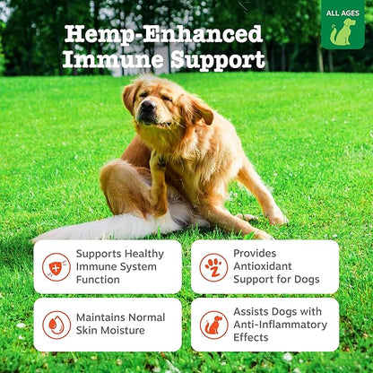 Zesty Paws Hemp Allergy Immune Bites - Dog Allergy Chews, Dog Probiotics for Itchy Skin and Ears, Cheese, 90ct