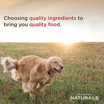 Diamond Naturals Large Breed Dry Puppy Food Real Lamb and Rice Protein, Probiotics, Superfoods, Antioxidants and Other Premium Ingredients to Support Health in Growing Puppies 20lb