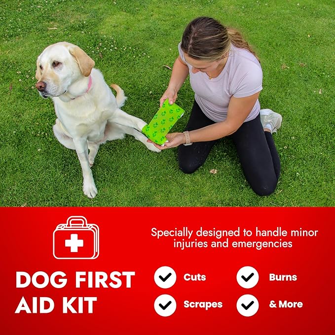 Cat & Dog First Aid Kit - Dog Emergency Kit, Health Supplies & Wound Care -with Thermometer, Bandages for Wounds - Essentials, Travel Bag (Small)