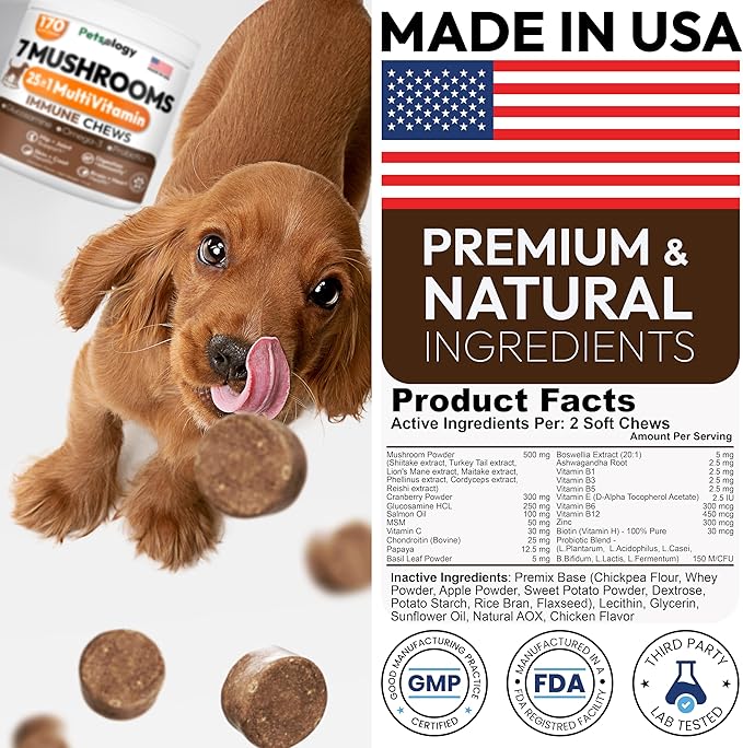 (2 Pack) Turkey Tail Mushroom for Dogs - 340 Chews - Lion’s Mane - Shiitake - Reishi - Buddy Immune Support Guard - Mushroom Supplement for Dogs with Glucosamine, Health Vitamins Multivitamin