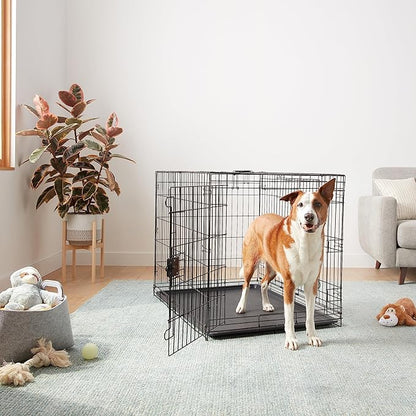 Amazon Basics Portable, Collapsible Metal Wire Dog Crate with Removable Tray, Double Door, Easy to Assemble, Divider Panel for Large Dogs, 42" x 28" x 30", Black