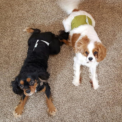 wegreeco Washable Dog Diapers - Washable Male Dog Belly Wrap - Pack of 3 - (Black,Blue,Olive,Medium)