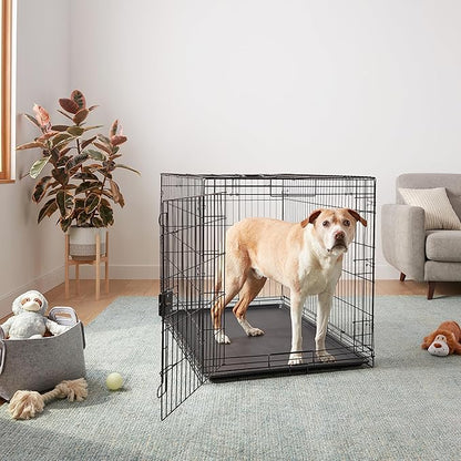 Amazon Basics Portable, Foldable Metal Wire Dog Crate with Removable Tray, Divider Panel, Easy to Assemble, for Large Dogs, 48 x 30 x 32.5 in, Black