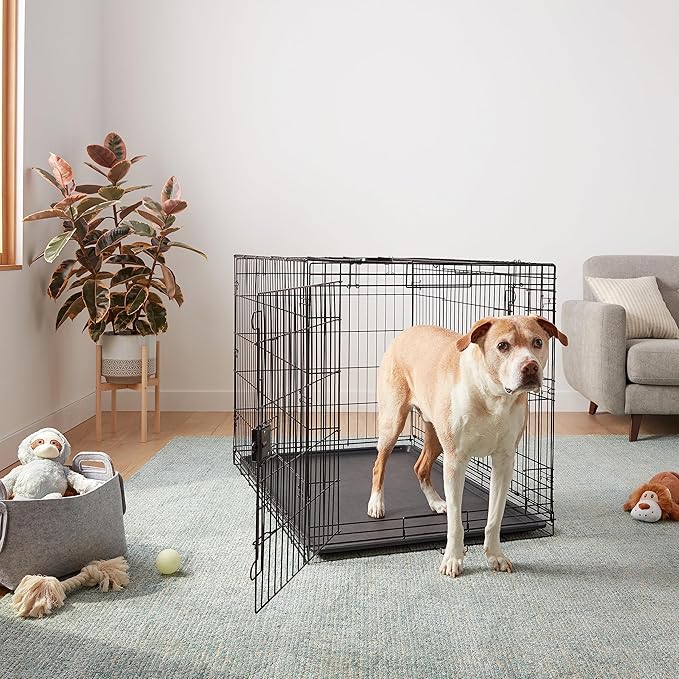 Amazon Basics Portable Metal Wire Dog Crate for Large Dogs, Double Door with Removable Tray, Divider Panel, Easy to Assemble, 48" x 30" x 32.5", Black
