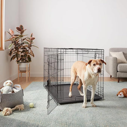 Amazon Basics Portable Metal Wire Dog Crate for Large Dogs, Double Door with Removable Tray, Divider Panel, Easy to Assemble, 48" x 30" x 32.5", Black