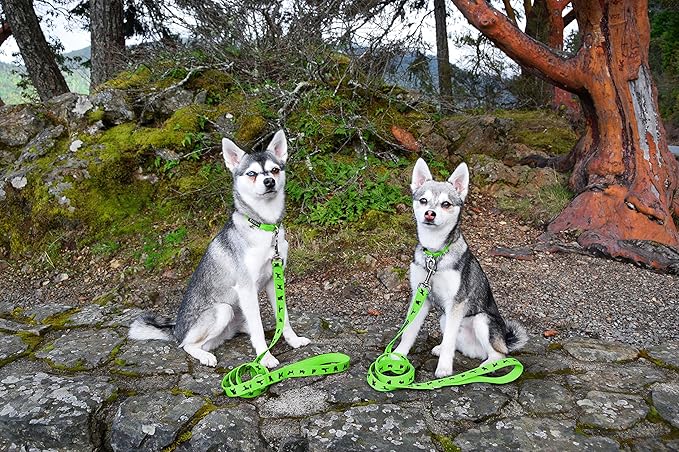 EcoBark Dog Leash - Soft & Reflective Comfort Leashes with Padded Handle - Strong Durable Heavy Duty - Training and Pulling for Small, Medium or Large Dogs (Green)