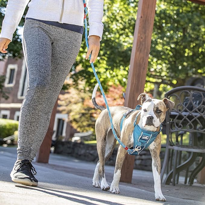 Kurgo Tru-Fit Smart Dog Walking Harness - Comfortable Fit - Adjustable Harness - Reflective Pet Wear - Quick Strap Release - Daily Walk Accessory - Includes Seat Belt Loop - Blue - X-Small